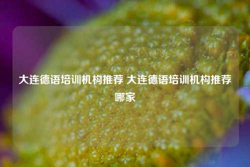 大连德语培训机构推荐 大连德语培训机构推荐哪家