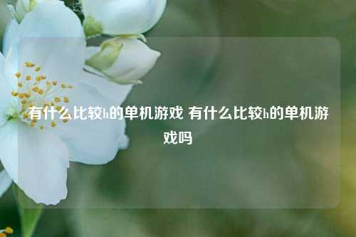 有什么比较h的单机游戏 有什么比较h的单机游戏吗